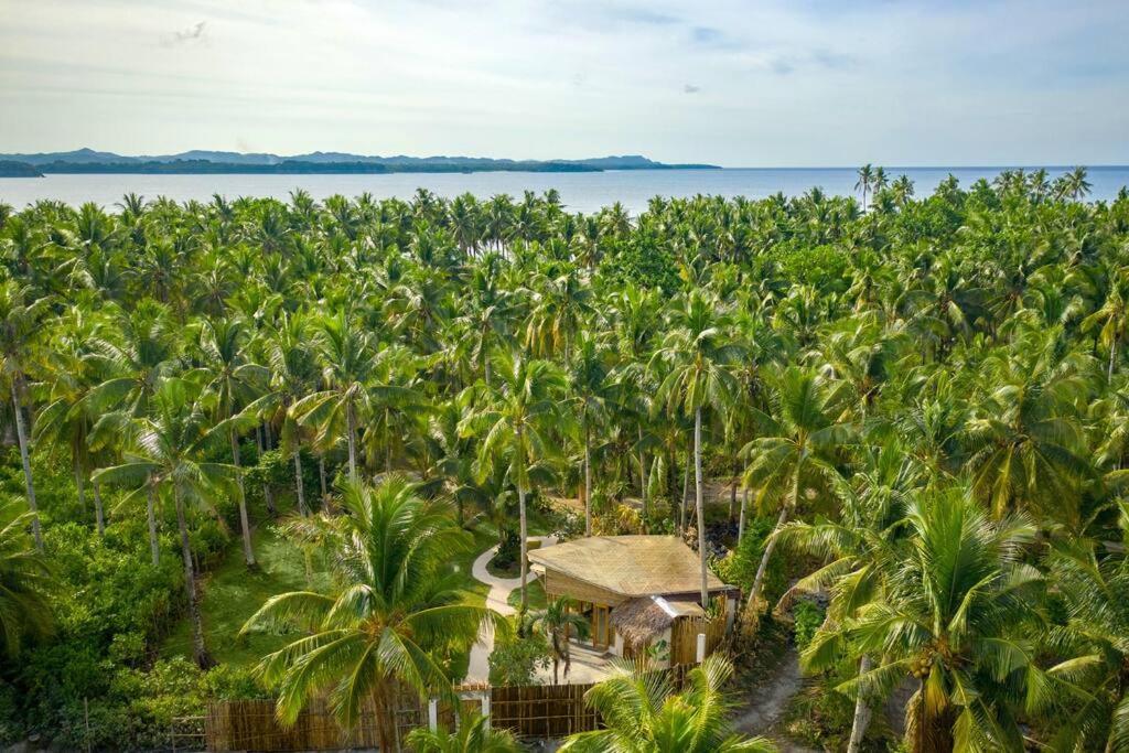 The Bamboo Houses - Tropical Garden & Empty Beach General Luna  Eksteriør billede